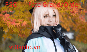 auto fgo